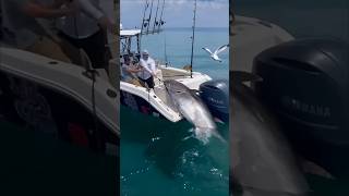 quotMassive Tuna Caught on Rod Epic Fishing Struggle in the SeaFishing Pesca Pêche Angeln Pesca [upl. by Sedda164]