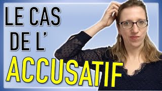 🇩🇪Les déclinaisons en allemand  le cas de lACCUSATIF 🤔 [upl. by Uy]