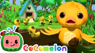 Can You Find The Ducks  Hide amp Seek  Games For Children  Cocomelon Nursery Rhymes amp Kid Songs [upl. by Attenahs]