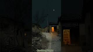 Village Night Sounds Nature Sounds Night Soundsshorts [upl. by Donetta185]