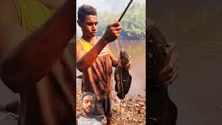 River fishing big snackhed fish mancing fishing garonger [upl. by Nosittam]