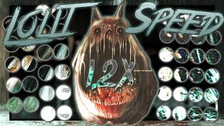 Lolit speed 12x S Rank [upl. by Guglielma]