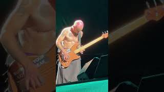 Red Hot Chili Peppers Flea Bass Solo Citizens Bank Park 9322 [upl. by Jackqueline]