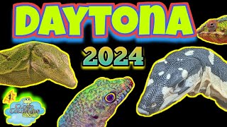 Daytona National Reptile Breeders Expo 2024 Full Walkthrough [upl. by Melba252]