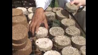 FOST briquette making process [upl. by Wertz626]