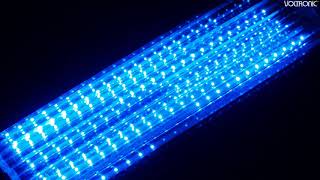 Maxstore VOLTRONIC® LED MeteorShower blau [upl. by Enalahs]