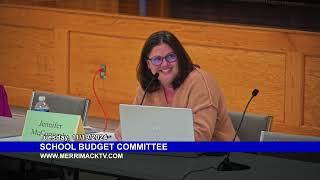 Budget Committee Nov 19 2024 [upl. by Disini]