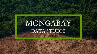 Introducing Mongabay Data Studio [upl. by Hancock]