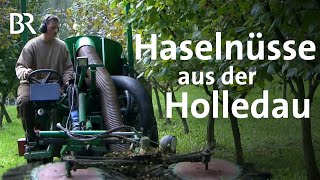 Nuss statt Hopfen Der Haselnussbauer aus der Holledau  Schwaben amp Altbayern  BR [upl. by Sauder]