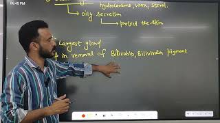 excretory products and their elimination part 4 biology class 11th ncert solutions [upl. by Aldridge875]