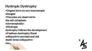 Parenchymal Dystrophy Classifications [upl. by Reifnnej739]