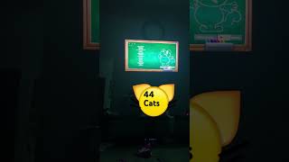 44 cats Netflix [upl. by Isador]