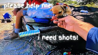 How do Homeless Dogs get Vaccinated Must Watch Coolest Cops Ever [upl. by Leahsim]