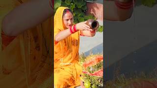 Laher Laher lahray re mere agan ki tulsi 🪴tulsi song [upl. by Ogdan]