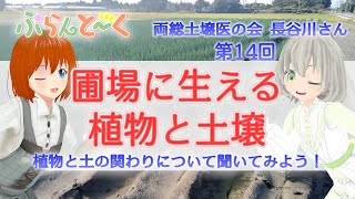 【植物トークコラボ】圃場に生える植物と土壌【第十四回】 [upl. by Eirrotal]