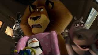 MADAGASCAR 3  Los Fugitivos  Clip Persecución [upl. by Neltiac129]