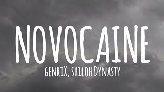 GenriX Shiloh Dynasty  NOVOCAINE Lyrics [upl. by Lau157]