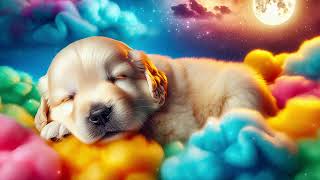 Gentle Lullaby to Aid Sleep lullaby sleep relaxing calm zen chill goldenretriever [upl. by Cissie]