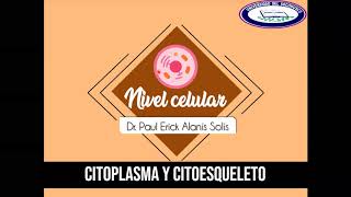 La célula  Citoesqueleto [upl. by Rehpotsyrk]