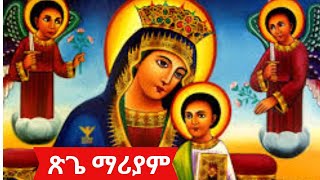 Tsegi Mariam Mezmursጽጌ ማሪያም  2024 The BEST Ethiopian Orthodox Mezmur Collection [upl. by Eisor876]