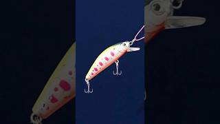 Simple fishing knots  How to tie a minnow lure [upl. by Atselec]