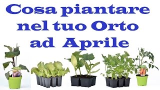 Cosa Piantare ad Aprile nel tuo Orto [upl. by Namien186]