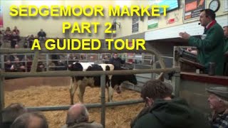 SEDGEMOOR MARKET PART 2 A GUIDED TOUR [upl. by Cirdek286]