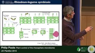 Philip Poole Plant Control of the Rhizosphere Microbiome [upl. by Sherburne]