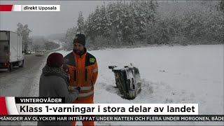 Assistancekåren quotFolk hamnar i diketquot  Nyheterna TV4 [upl. by Lorita]