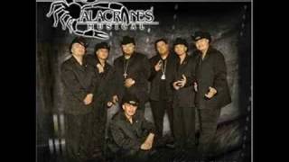 ALACRANES MUSICALPOR TU AMOR remix [upl. by Conrade381]