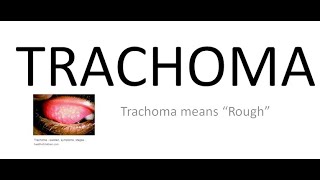 Ophthalmology 076 a Trachoma What is Chlamydial Trachomatis Conjunctivitis [upl. by Christen]