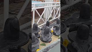 108 Shivlings at Ganga Talao Mauritius 🇲🇺 [upl. by Eedoj683]