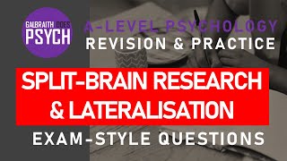 SplitBrain Research amp Lateralisation  Exam Questions amp Revision  ALevel  AQA Psychology [upl. by Siegfried730]