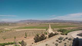 Las Nubes Winery Guadalupe Baja [upl. by Yuk523]