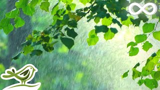 My Love Soft Piano Music amp Rain Sounds For Sleep Relaxation amp Focus [upl. by Rozella826]