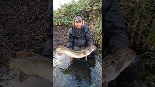 fishing szczupak wędkarstwo wedkowanie fish wedkarstwo fypyoutube fypシ゚ fypシ゚viral [upl. by Remark]