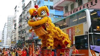 Chinese New Year 2019 Lion Dance Hong Kong [upl. by Hewitt]