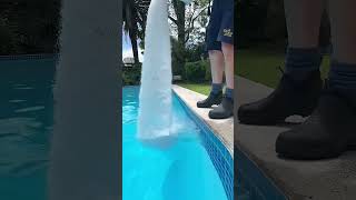 Swimming pool washing powder swimingpool washing shorts viralvideo shortvideo shortsfeed [upl. by Kcirrek307]