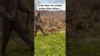 Some days are better simply then others 😂😵😒 shorts viral funny [upl. by Naz]