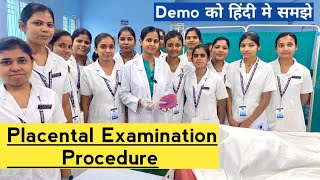 Placental examination demo fetal surface maternalumbilical cord examinationProcedure [upl. by Undine]