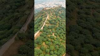 Gujarat  LARGEST Miyawaki Forest in the World  bhuj gujarat kutch [upl. by Julee]