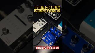 Flamma fs02 x Kailani reverb teste reverbpedal worship [upl. by Ytteb]