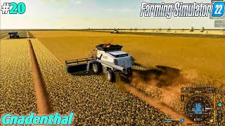 Big Filed 3 Harvester Flex Harvesting  Gnadenthal Farm  Ep20 FS22 [upl. by Esoj]