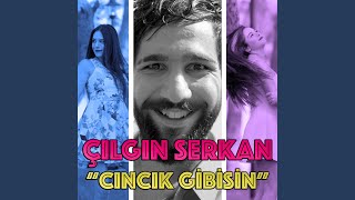 Cıncık Gibisin [upl. by Zoeller10]