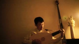 Ricercare 尋覓曲 no4 Francesco da Milano Renaissance lute music [upl. by Patton]