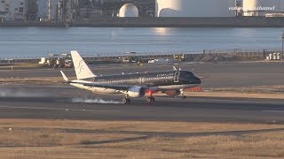 StarFlyer SFJ Airbus A320200 JA20MC 羽田空港 着陸 20171230 [upl. by Fernande]