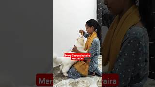 mera huraira chatora ho gya hai 🤣🤣sumaiyavlog youtubeshorts shortsvideo [upl. by Anoj]