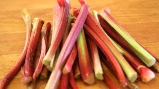 Rhubarb 101  Everything You Need To Know About Rhubarb [upl. by Iba]