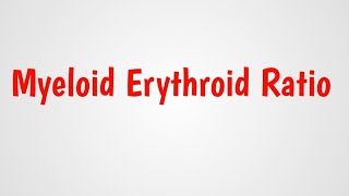 Myeloid erythroid ratio [upl. by Simone]