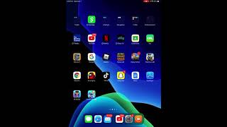 How to download play store on an iOS iPad [upl. by Arateehc537]